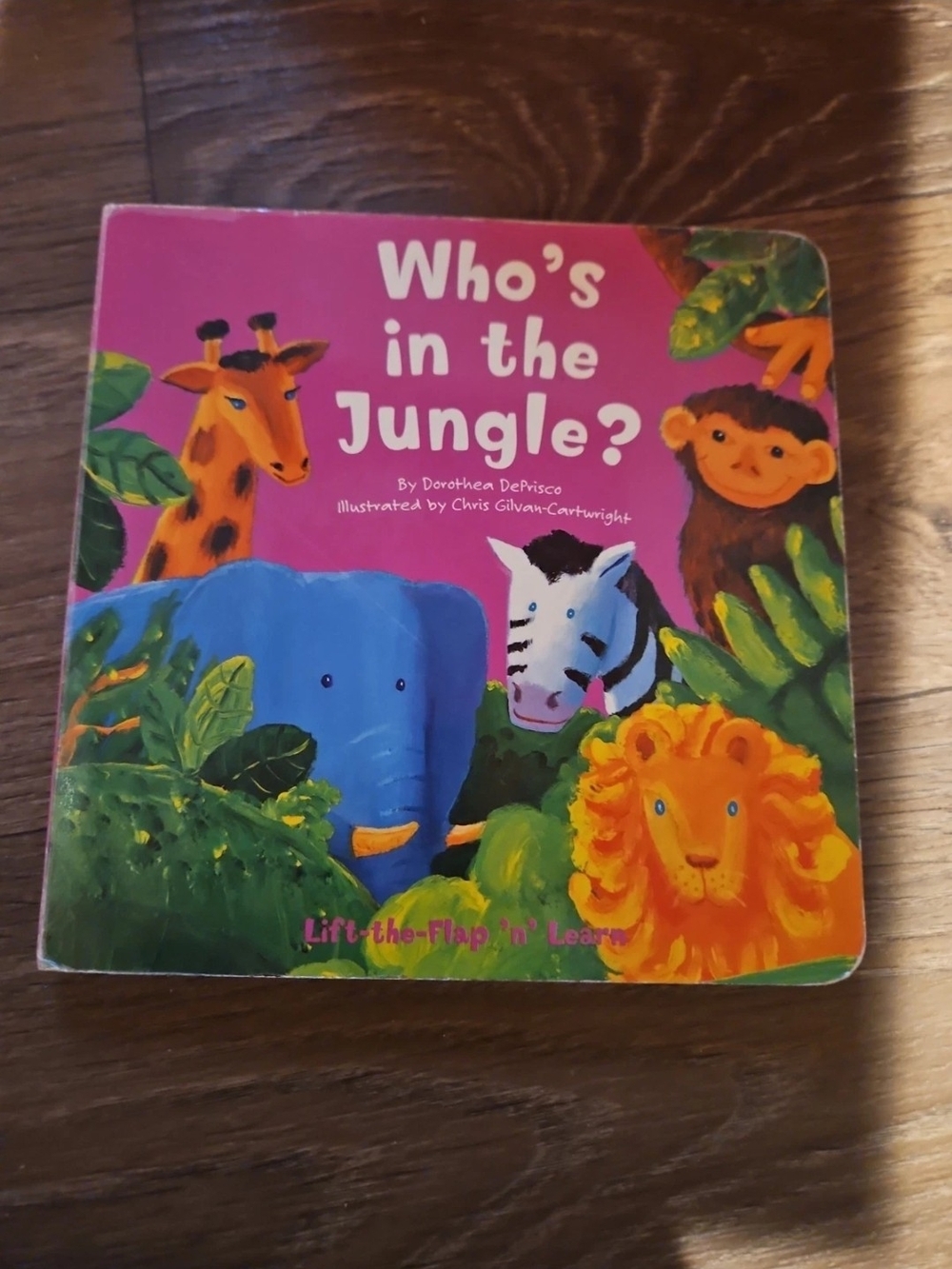 Who's in the Jungle? Kids Board Book - Pink Cover